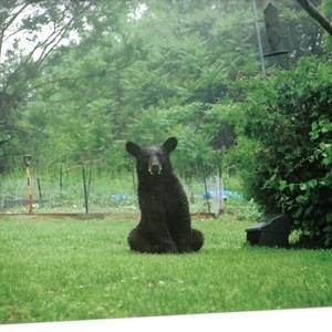 Meet your Posher, Felisa